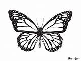 Monarch Outline Printable Outlines Skiptomylou Caterpillar Colored sketch template
