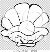 Oyster Outline Coloring Illustration Pearl Rf Royalty Clipart Shell Drawing Visekart Getdrawings sketch template