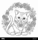 Wreath Floral Coloring Alamy Stock Kitty Exquisite Adorable Line sketch template