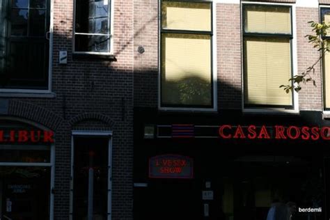 Hookers In Oegstgeest Prostitutes Netherlands