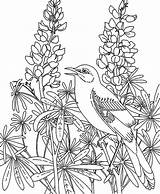 Garden Coloring Pages Flower Printable Fairy Rose Color Mockingbird Getcolorings Fairies Flowe Print sketch template