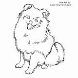 Pomeranian Dog Coloring Puppy Pages Color Pomeranians Colouring Drawing Line Own Sheets Kids Tweet Index Sketch Patterns Book Pag Sitting sketch template