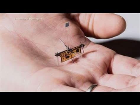 insect sized drones drone