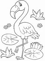 Flamingo Flaming Kleurplaat Kolorowanka Colorat Kolorowanki Flamingos Besteausmalbilder Kleurplaten Leukekleurplaten Leuke Ladnekolorowanki Coloringpage Plansededesenat Lustigen Tipareste Pokaż Wszystkie sketch template