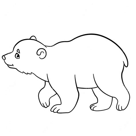 cute polar bear drawing  getdrawings