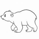 Bear Baby Coloring Polar Cute Pages Drawing Little Getdrawings Kids Printable sketch template