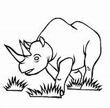 Rinoceronte Rhino Rhinoceros Rinocerontes Dibujos Endangered Selva Woolly Thecolor Coloringbay sketch template