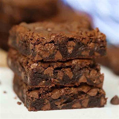 double chocolate chip brownies easy chocolate chip brownie recipe