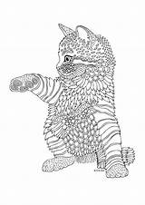 Cat Coloring Pages Mandala Adult Kittens Colouring Visit Kids Sheets sketch template