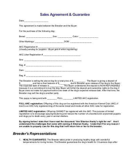 agreement template business psd excel word