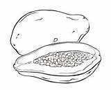 Papaya Coloring Pages Clipart Popular sketch template