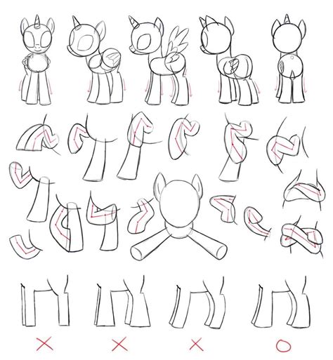 drawing   types  animals   names  shown