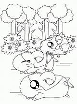 Coloring Pages Hamtaro Hamsters Comments Visit sketch template