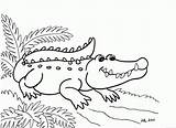 Crocodile Animal sketch template