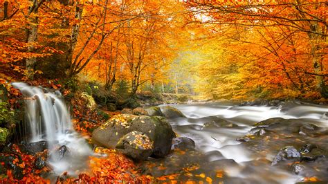 tapeta na monitor podzimni priroda podzim rumunsko les reka