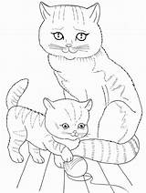 Coloring Pages Realistic Cat Kitten Visit Colouring Cats Life sketch template