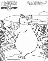 Coloring Madagascar Gloria Hippopotamus Forest Pages Fun Colouring Kids Personal Escape Africa Create Library Gif Animals sketch template