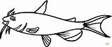 Bagre Catfish Peces Contorno sketch template