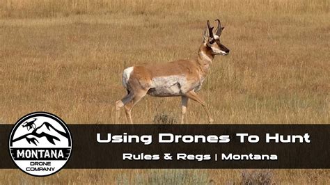 drones  hunting drone laws  scouting animals montana drone company