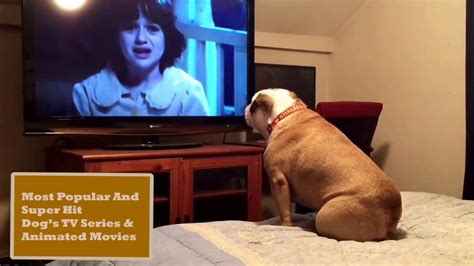 popular superhit dog tv series  animated movies petvet