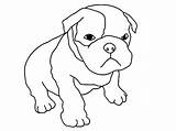 Coloring Dog Pages Pitbull Boxer Baby Puppy Cute Puppies Drawing Dogs Drawings Line Pug Color Realistic American Mood Printable Getdrawings sketch template