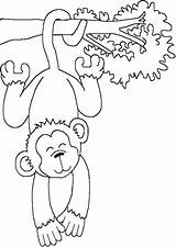 Monyet Mewarnai Tulamama sketch template