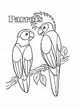 Parrot Coloring Pages Pirate Printable Parrots Realistic Getcolorings Pag Animals Print Getdrawings sketch template