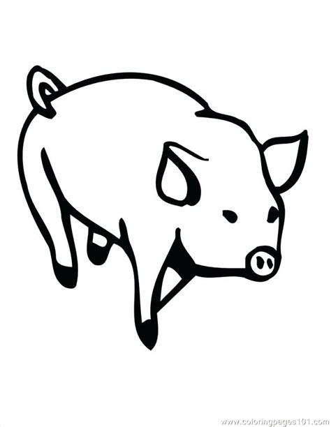 pig face drawing  getdrawings
