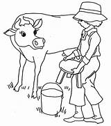 Cow Pages Milking Coloring Chair Put Before Little Color sketch template