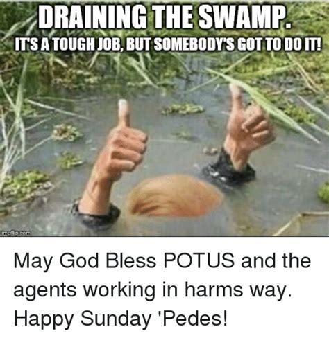 Draining The Swamp Its A Tough Job But Somebody S Got To Do It