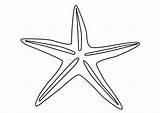 Coloring Starfish Large sketch template