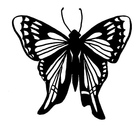 butterfly coloring pages tailed skipper butterfly