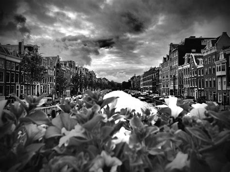 gratis afbeeldingen landschap zwart en wit straat stad menigte stadsgezicht duisternis