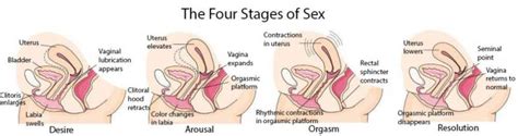 signs of a female orgasm full naked bodies