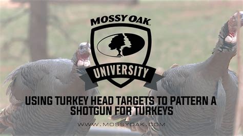 turkey head target  pattern  shotgun youtube