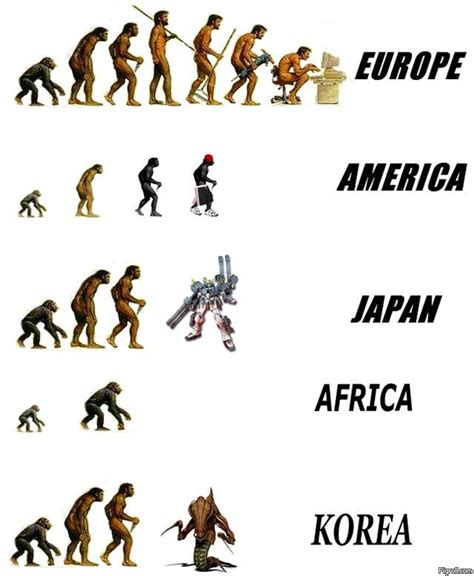 evolution   nutshell
