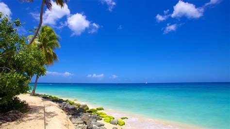 Paradise Beach In Barbados Expedia