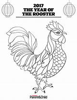Rooster Scholastic sketch template