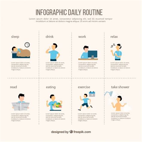 daily routine infographic vector   daily routine activities everyday activities