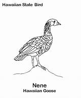 Nene Goose sketch template