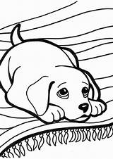 Coloring Puppy Pages Kitten Printable Color Print Getcolorings sketch template