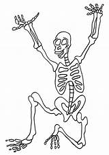 Skeleton Coloring Pages Kids Skeletons Printable Popular Bestcoloringpagesforkids sketch template