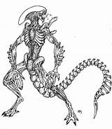 Alien Xenomorph Coloring Predator Pages Vs Warrior Arvalis Deviantart Color Sniper Gand Wars Star Sketch Template Getcolorings Getdrawings sketch template