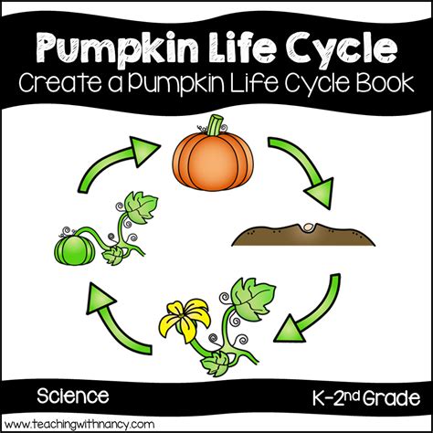 printable life cycle   pumpkin printable word searches