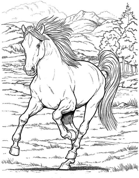 wild horse  horses coloring page netart