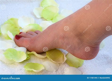 feet spa stock afbeelding afbeelding bestaande uit benen