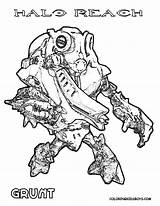 Halo Coloring Grunt Coloringpagesonly Flood Waypoint Arbiter sketch template