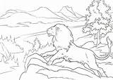 Aslan Coloring Lion Narnia Pages Print Colour Color Colouring Book Chronicles Template sketch template