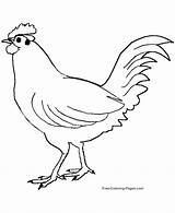Huhn Gallina Ayam Colorare Gambar Ausmalbild Chickens Sketsa Coloringhome Kostenlos Disegnidacolorare Galline Mewarnai Jago Du Coloriages sketch template