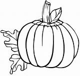 Pumpkin Drawing Pages Clipartmag Pumpkins sketch template